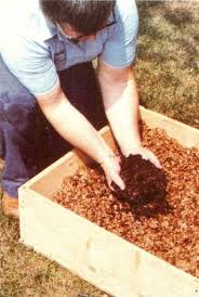 Both options will provide plants with valuable organic matter, nutrients, and a diversity of beneficial. A Step By Step Guide To Vermicomposting Mother Earth News