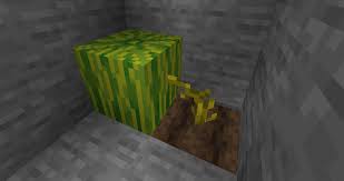 Minecraft melons are a fruit block that grows from melon … Why Aren T My Melons Growing Survival Mode Minecraft Java Edition Minecraft Forum Minecraft Forum