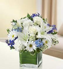 Check spelling or type a new query. 1800 Flowers Healing Tears Sympathy Arrangements In Sutton Ma Posies N Presents