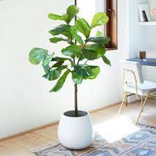 We did not find results for: The Best Affordable Fake Plants For Your Home The Everygirl