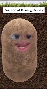 Pebble Le Potato Pebble The Potato Tiktok Watch Pebble Le Potato S Newest Tiktok Videos Crazy Funny Memes Really Funny Memes Super Funny Videos