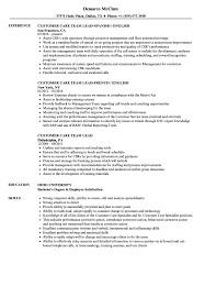 customer care team lead resume samples