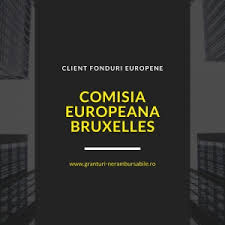 Model proiect fonduri europene educatie. Obtine 70 100 Bani Nerambursabili Direct De La Comisia Europeana Bruxelles