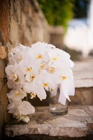 Große auswahl an orchids phalaenopsis. Phalaenopsis Bouquet Off 72 Buy