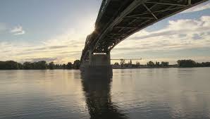 See what shiraz karam (bjsnook66) has discovered on pinterest, the world's biggest collection of ideas. Tomas Janovic Writer S Asymptote Blog