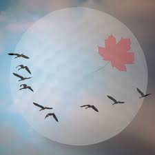 Shipping address directory to find a u.s. Indoor Golf A Winter 2020 21 Option For Golfing Snowbirds Swing Golf Lounge