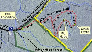Check spelling or type a new query. Black Bear Loop