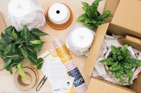 Check spelling or type a new query. These Startups Sell Plants To Stressed Out Millennials