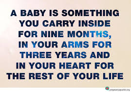 Pin On Quotes About Pregnancy
