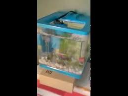 Marina Ez Care Betta Kit Review 0 7 Gal Youtube
