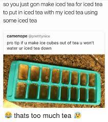 So You Just Gon Make Iced Tea For Iced Tea To Put In Iced Tea With My Iced Tea Using Some Iced Tea Camenope Nice Pro Tip If U Make Ice Cubes