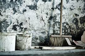 It usually occurs after winter, when the temperature rises, and mold spores are starting to float, finding their new homes. 15 Basement Mold Prevention Tips Cleanfirst Restoration