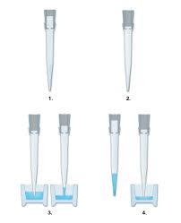 Vegan, cruelty free, ewg verified and hypoallergenic sustainable linktr.ee/pipettebaby. Pipettes Calibration Repair Service Pipette Com