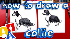 The design features a series of silhouette illustrations of a border collie with the word 'love' written in a modern script. How To Draw A Border Collie Youtube