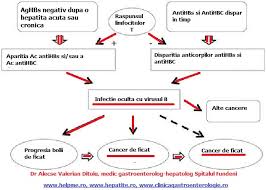 Pregătire pentru analize la infecții urogenitale. Purtatorul Sanatos De Virus B Cabinet De Gastroenterologie Si Hepatologie Bucuresti 0758 751 841 Cabinet De Gastroenterologie Si Hepatologie Bucuresti 0758 751 841