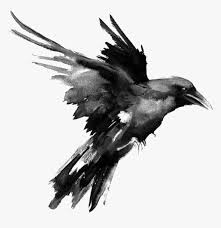 Black and white eagle illustration, bald eagle logo , eagle transparent background png clipart. Raven Png Black And White Ravens Transparent Png Transparent Png Image Pngitem
