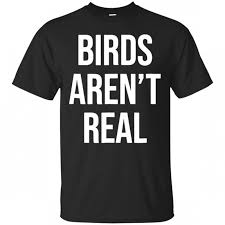 Birds Aren T Real Hoodie Pin On Products