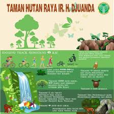 Kendati kebun binatang di perbaungan yang berada di kawasan perkebunan sawit ini terus dipercantik. Rzoo And Park Home Facebook