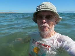 September in Bahia de los Angeles: Warm Water, Whale Sharks, and Summer  Nights