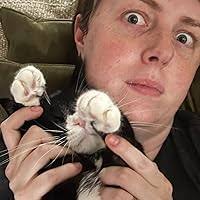 The Silent Storm by Sherry Garland