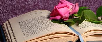 rosa e libro