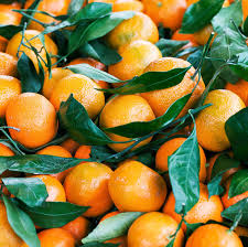 It S Citrus Season While Citrus Fruits Can Be Found In Stores Year Round They Are Most Flavorful Now And Through The Winte Fruit In Season Fruit Citrus Fruit