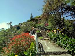 Book the best cameron highlands hotels on tripadvisor: Penang Food For Thought Rose Centre