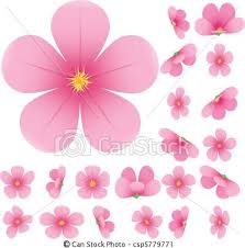 Pin On Sakura