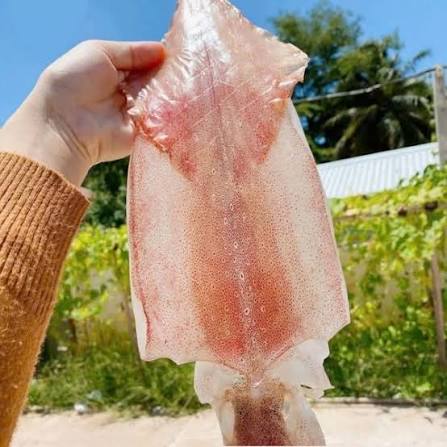 Mực Một Nắng Dẻo Phú Quốc | Hải Đảo Food