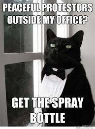 You can also choose from plastic. Spray Bottle Memes