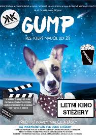 Pro psa jsme jeho svět. Kino Gump Pes Ktery Naucil Lidi Zit Stezery