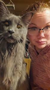 Happy Tuesday Wishes to Princess Meghan