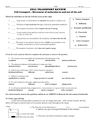 Generalbest Of Cell Transport Review Worksheet Answers
