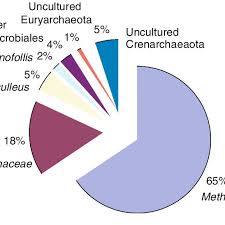 Pie Chart Of The 239 Archaeal Sequences Retrieved In