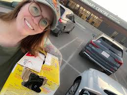 A day filled with Franklin's Gulls. My ears are still ringing!