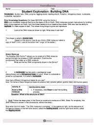 Dna molecules contain instructions for building every living organism on earth, from the tiniest bacterium. Guru Pintar Building Dna Gizmo Answer Key Building Dna Gizmo Docx Assignment A2 3 Building Dna Log Into Www Learnalberta Ca And Search For Dna Gizmo To Begin This Assignment Gizmo