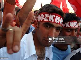 101 Grey Wolves Turkish Nationalist Organization Stock Photos, High-Res  Pictures, and Images