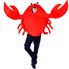 Crab Dog Halloween Costume Mascotcostumes