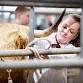 Oban Autumn Sale 2026 — Highland Cattle Society