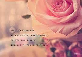 Sara Smiles Beautiful Flower Quotes Flower Quotes Rose Quotes