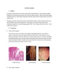 Saat ini orang kristen arab, yahudi, roma katolik malta, kristen indonesia dan malaysia memakai kata. Squamous Cell Papilloma Histopathology Squamous Papilloma Larynx Histopathology Hpv Likelihood Cancer