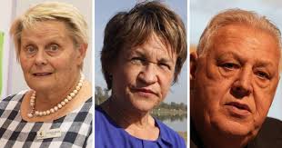 Dalton points to need for paramedics in Darlington Point