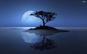 Have your tree sketch beside you and let it guide you as you draw. Pictures Cool Blue Trees Wallpaper Novocom Top