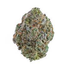 White Zombie Strain Indica Hybrid Flowers Medicinal Express