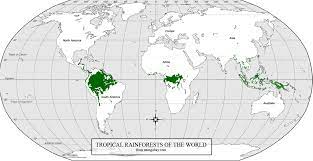 They occur between approximately 25 and 50 degrees latitude in both hemispheres. Location Of Rainforests