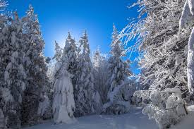 Meteo sestola e previsioni del tempo per sestola, temperature, precipitazioni, venti, irraggiamento solare, inquinamento dell'aria. Meteo Sestola E Webcam Meteosestola It