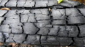 ما هو فحم الكوك wood earth geology