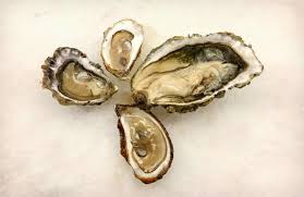 Les huîtres décortiquées peuvent rester fraîches dans des réfrigérateurs à une température quelle est la meilleure façon de congélation des huîtres. L Abc Du Party D Huitres Reussi Urbaine City