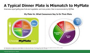 Knowing what and how much to eat can help someone to sustain a healthy body and mind. Does Your Plate Look Like Myplate Results From The 2018 Food Health Survey Food Insight