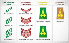 Berdasarkan penggolongan ini anggota gerakan pramuka dapat dikelompokkan menjadi pramuka siaga, penggalang, penegak, dan pandega. Kumpulan Materi Pramuka Tingkat Siaga Penggalang Dan Pandega Tabbayun